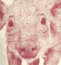 Cojín cerdito