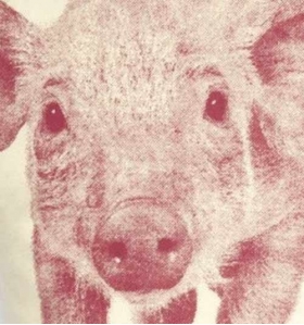 Cojín cerdito