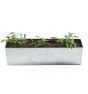 Jardinera plantas para cocinar
