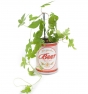 Planta de cerveza enlatada