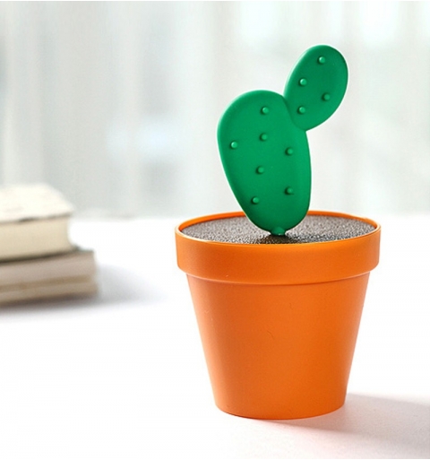 palillero cactus