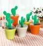 palillero cactus