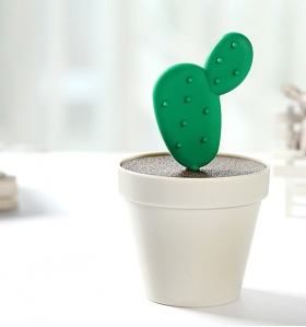palillero cactus