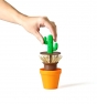 palillero cactus