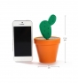 palillero cactus