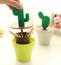 palillero cactus