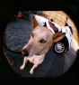 Fisheye baby 110 Bauhaus